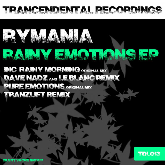 Rainy Morning - Original Mix cover art