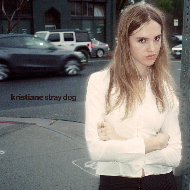 Stray Dog cover art