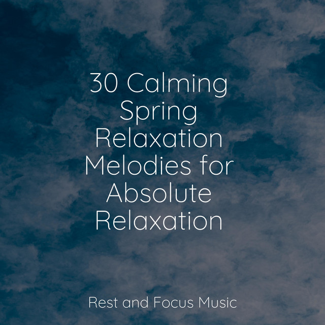 30 Calming Spring Relaxation Melodies for Absolute Relaxation - Album ...