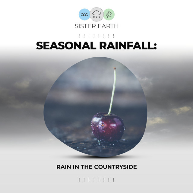Seasonal Rainfall: Rain in the Countryside ! ! ! ! ! ! ! ! - Album by Rain