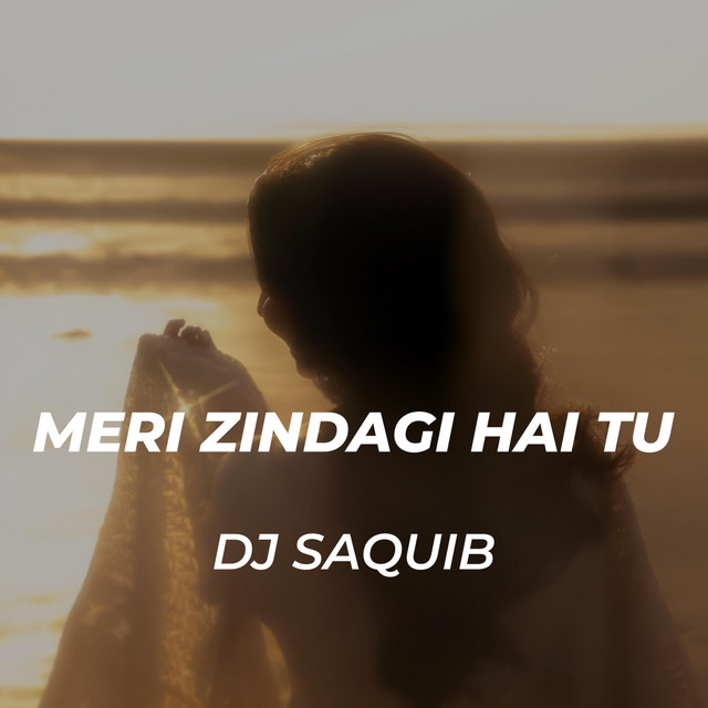 Meri Zindagi Hai Tu (Violin) cover art