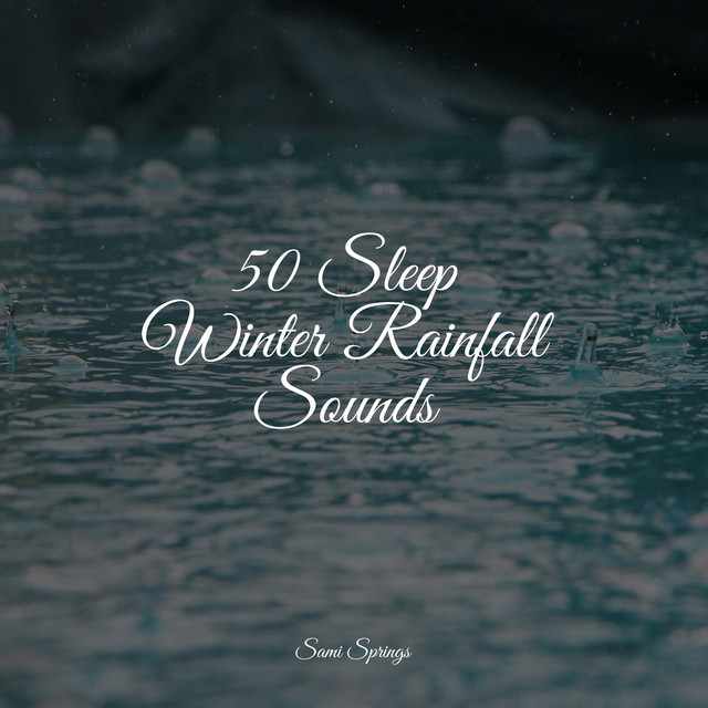 50 Sleep Winter Rainfall Sounds - Album by Mother Earth Sounds | Spotify