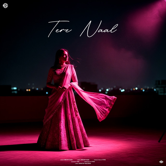 Pyro Otb & Mehar Kaur - Tere Naal