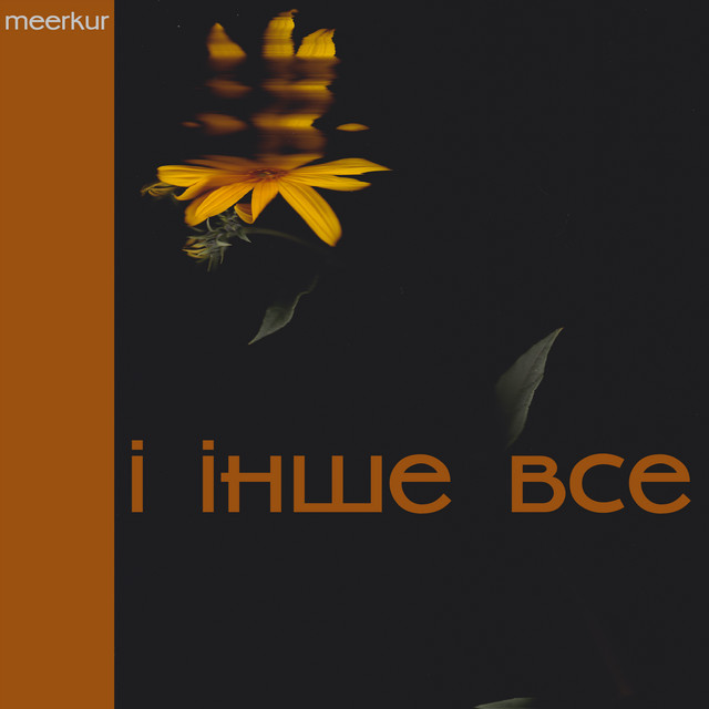 Обкладинка: і інше все — meerkur