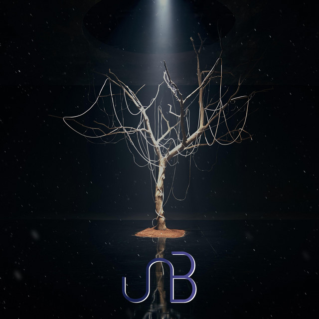 BOYHOOD cover art