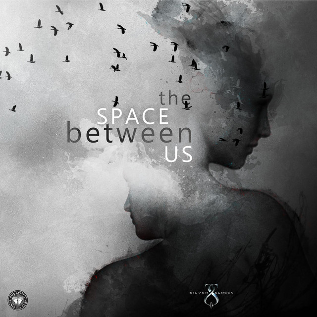 The Space Between Us cover art