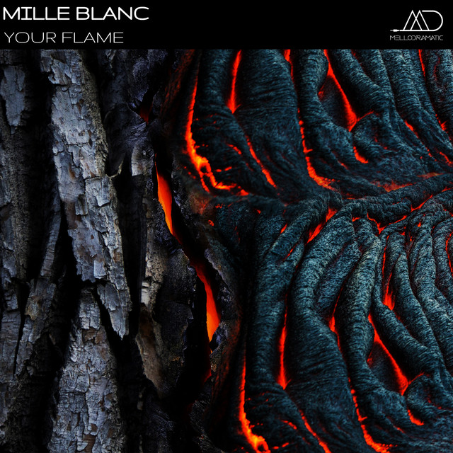 Mille Blanc