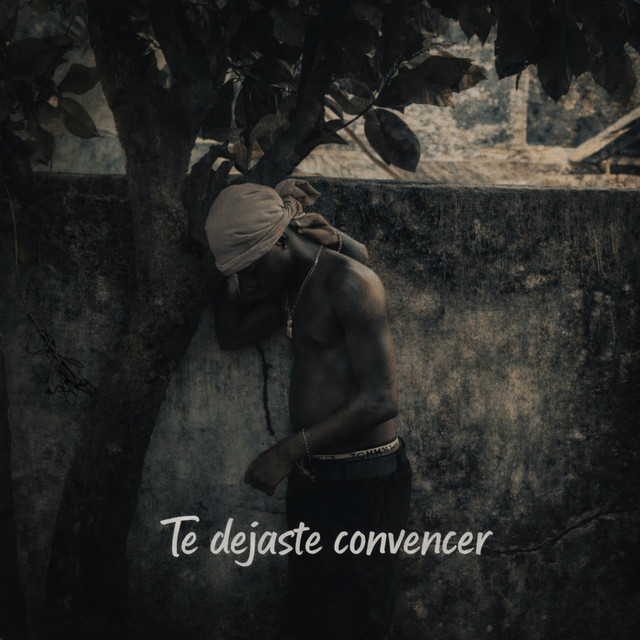 Té dejaste convencer