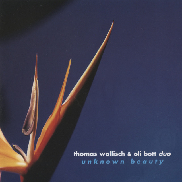 Unknown Beauty cover art