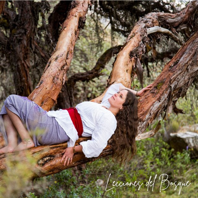 Lecciones del Bosque
