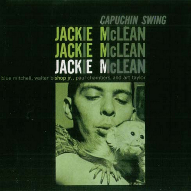 Capuchin Swing