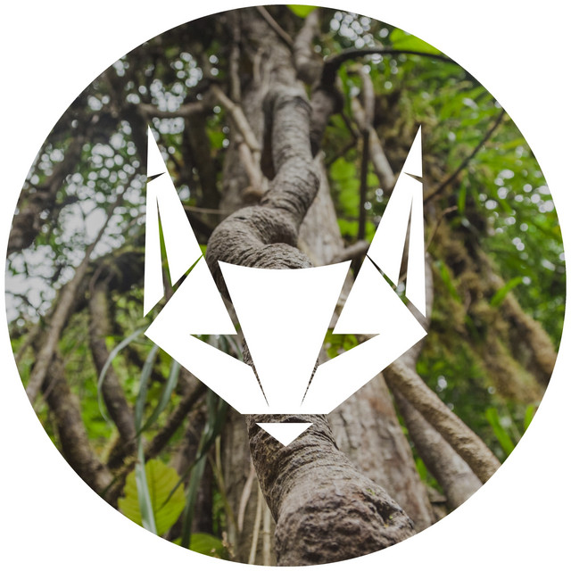 Ayahuasca cover art