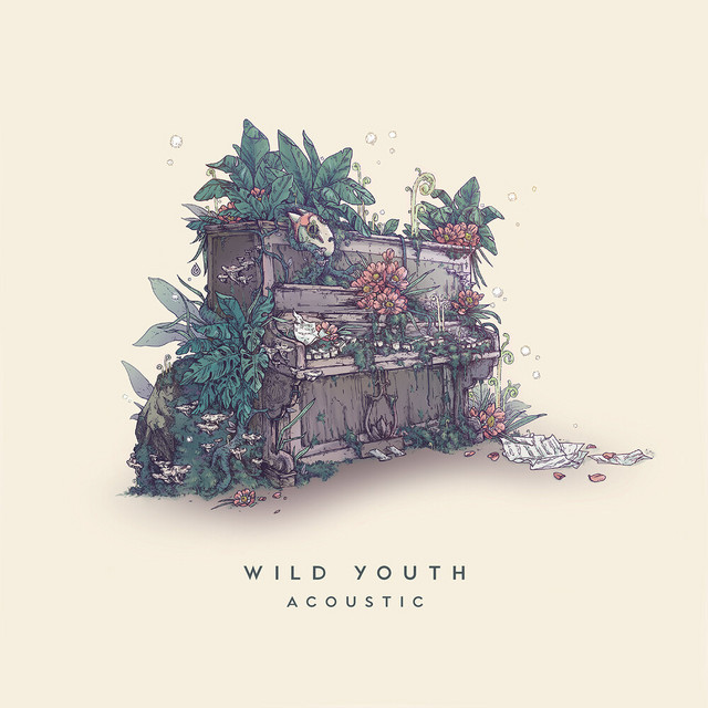 Wild Youth (Acoustic) cover art