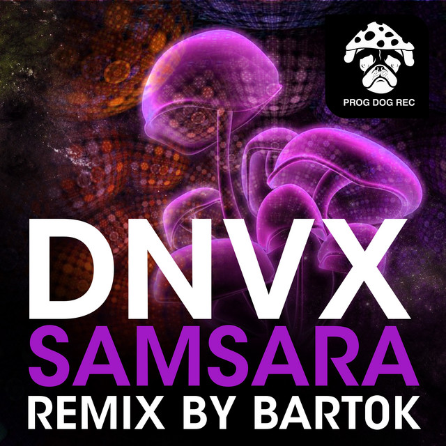 Samsara (Bart0k Remix) cover art