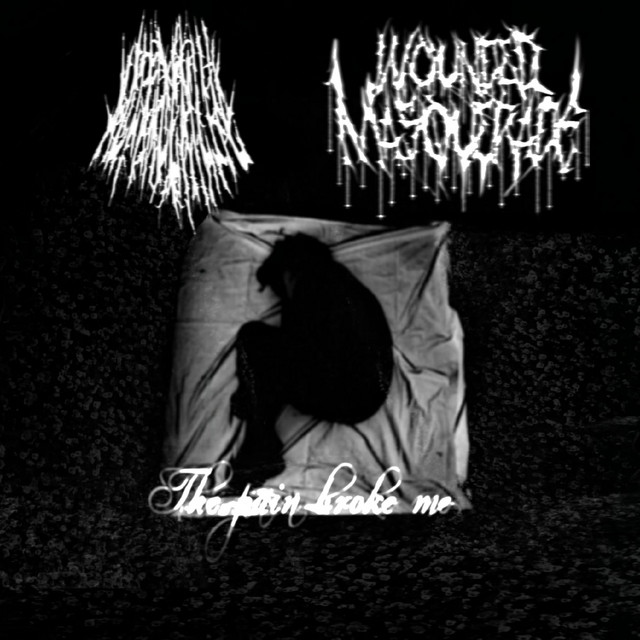 The Pain Broke Me cover art