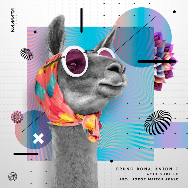 Acid Sh#T album art