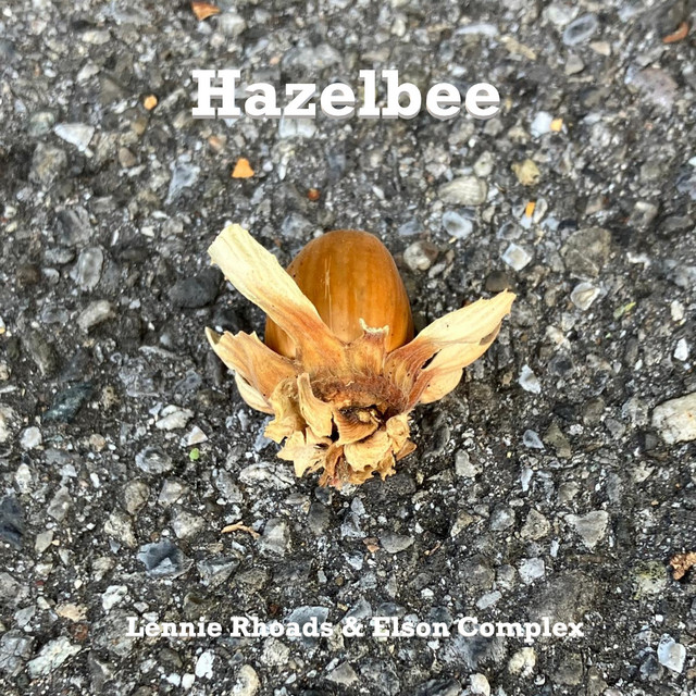 Hazelbee cover