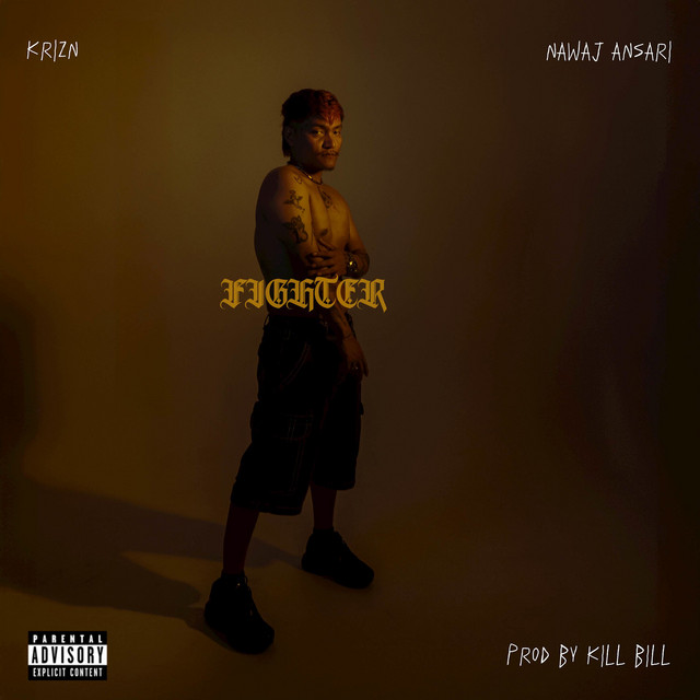 Fighter cover art