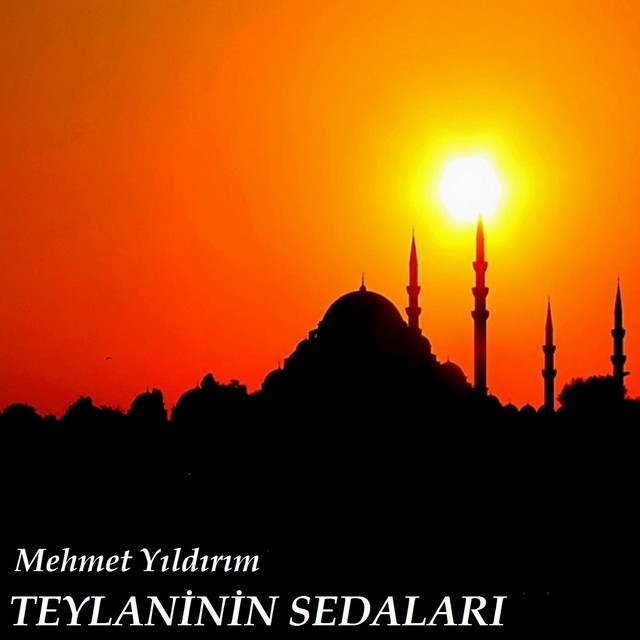 Teylaninin Sedaları cover art