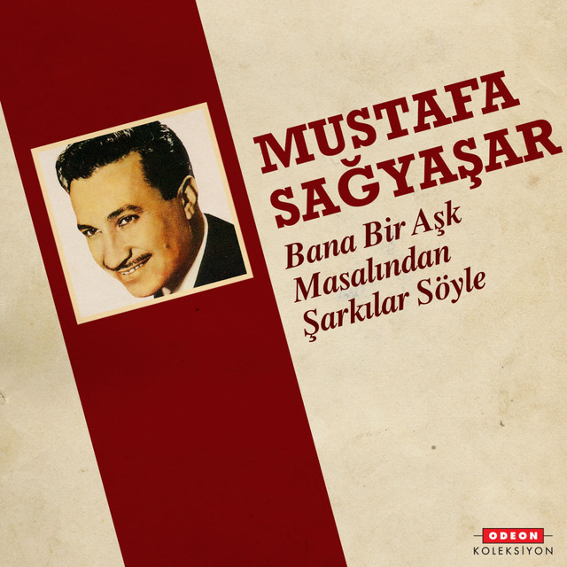Bana Bir Aşk Masalından Şarkılar Söyle cover