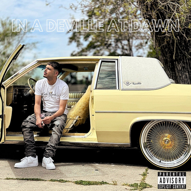 Swervin' cover art