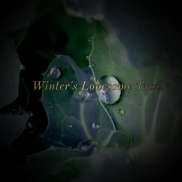 Winter's Lonesome Trail cover art