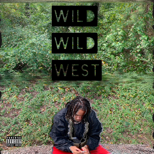 Wild Wild West