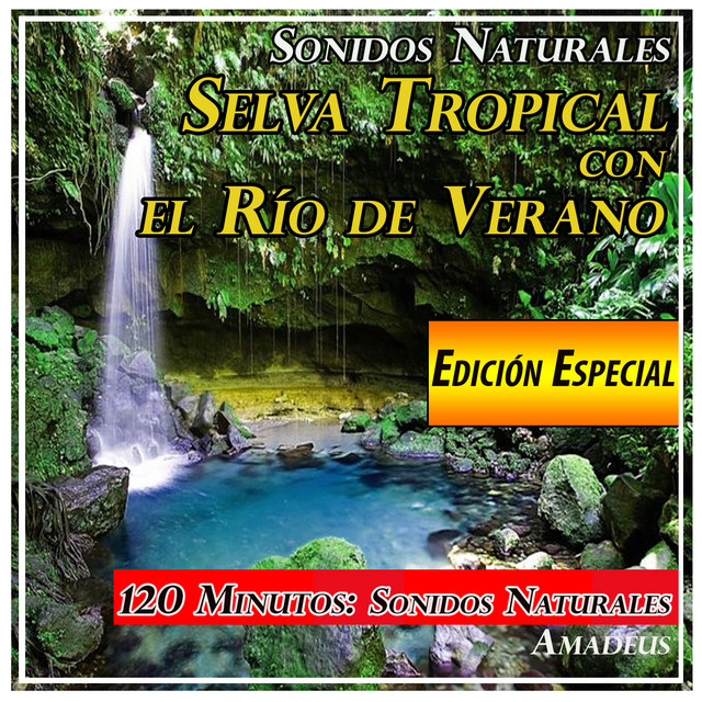 Selva Tropical Con el Río de Verano: Sonidos Naturales: Edición Especial cover art