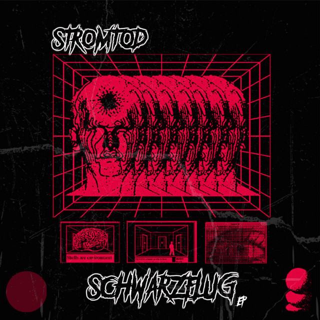 Schwarzflug cover art