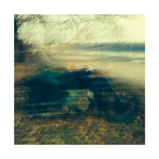 januszek cover art