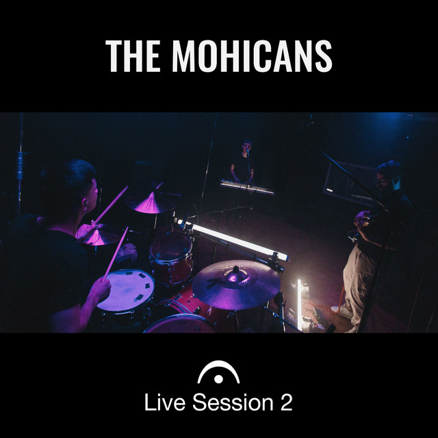 Обкладинка: Держит — The Mohicans