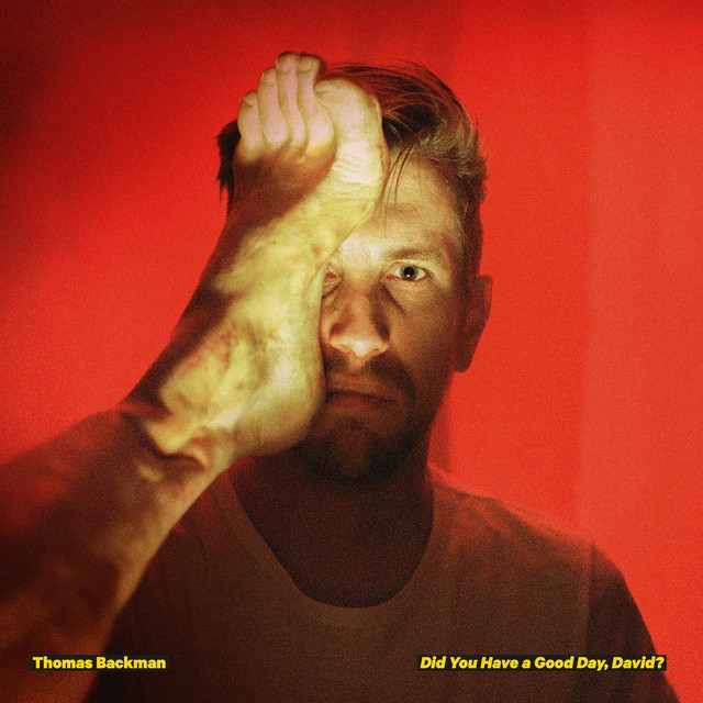 Did You Have a Good Day, David? cover art