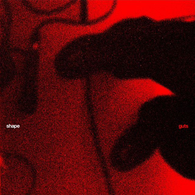 Guts cover art