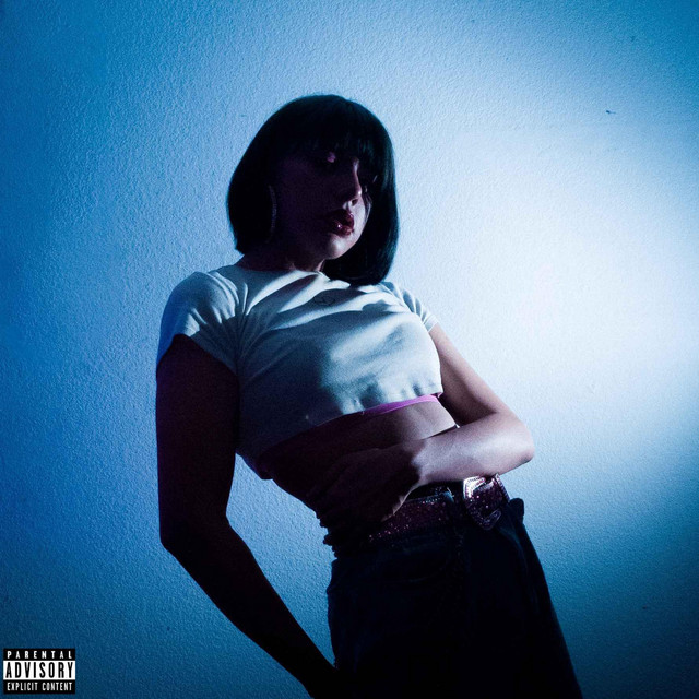 SVNNER (Deluxe) cover art
