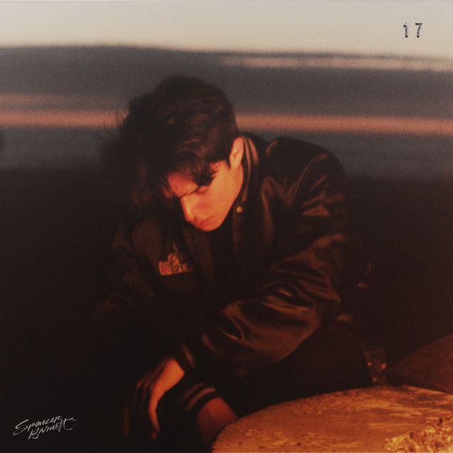 17 cover