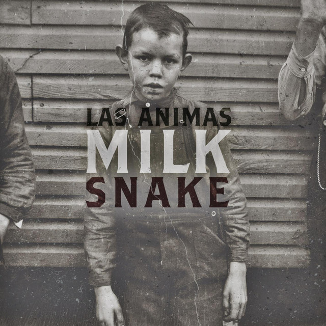 Milk Snake cover