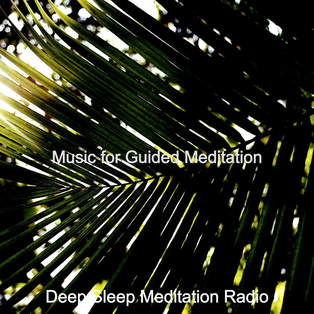 Music for Guided Meditation - Album by Deep Sleep Meditation Radio ...