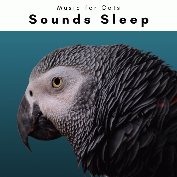 2022 Sounds Sleep - Album by Music For Cats | Spotify