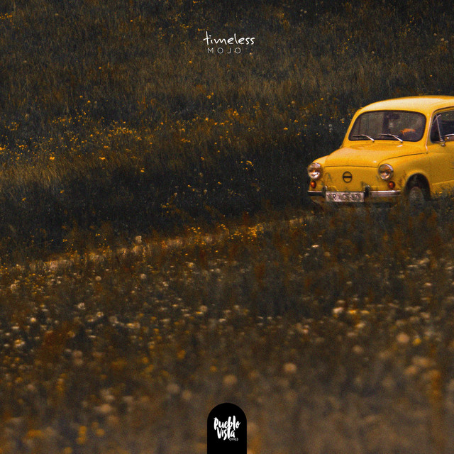 Timeless cover