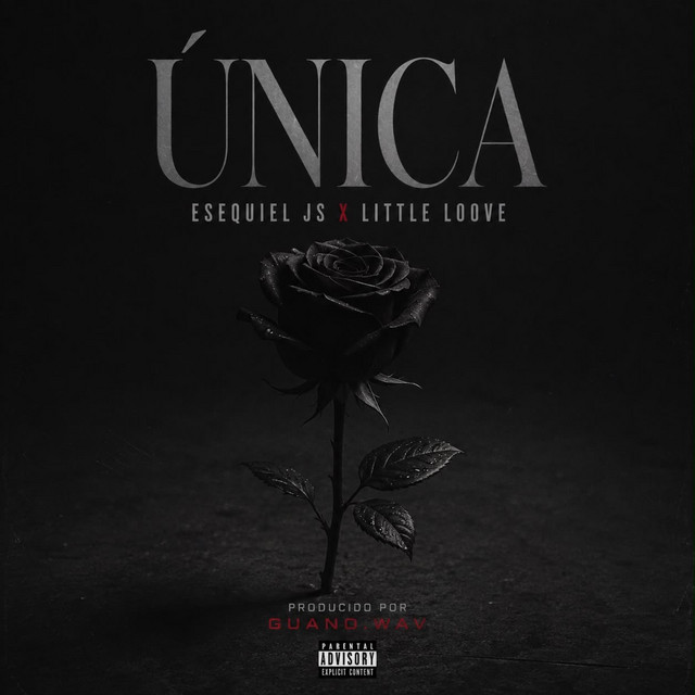 ÚNICA