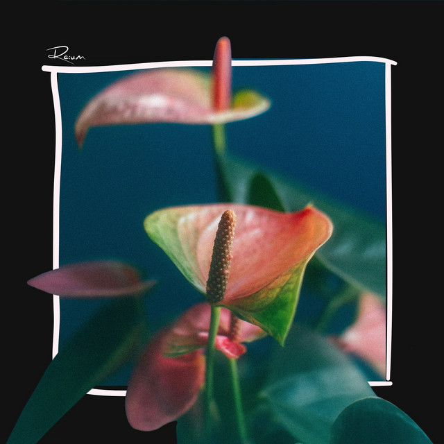 Overgrow album image