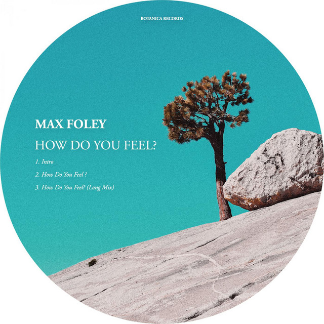 How Do You Feel? - Long Mix cover art