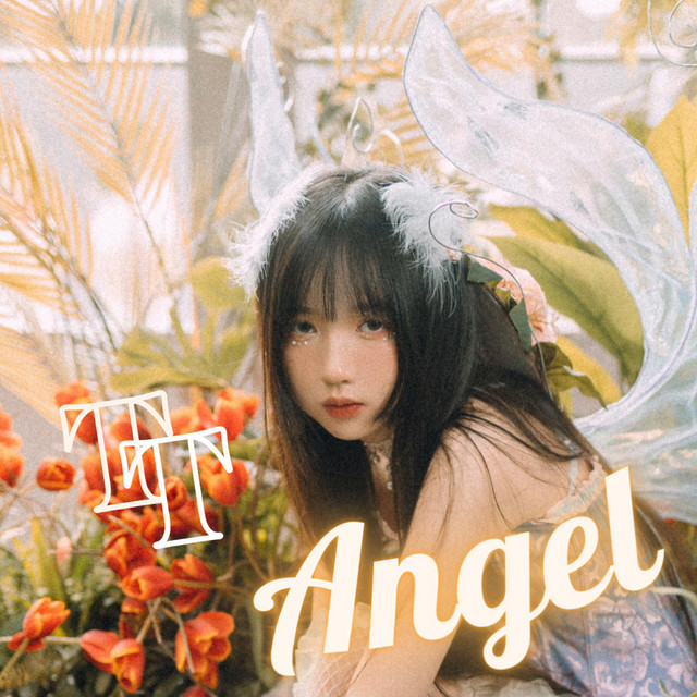 TT Angel cover art