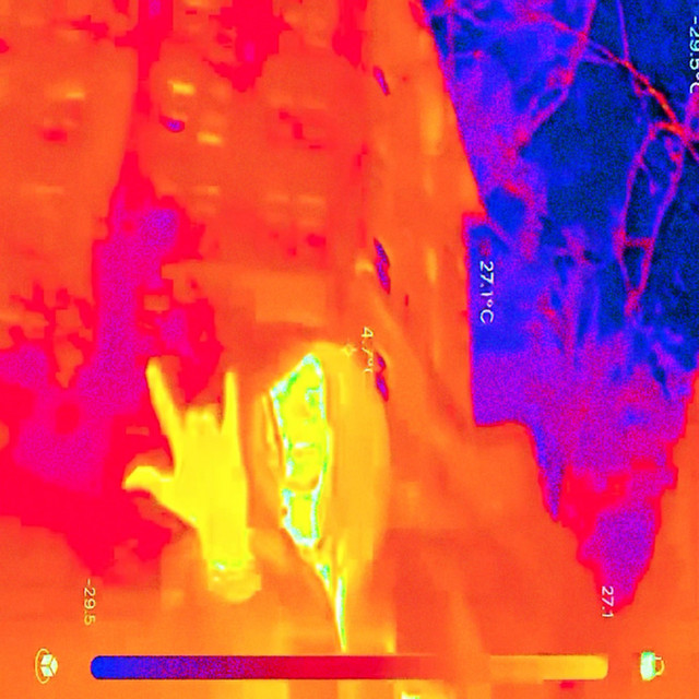 on my ass cover art
