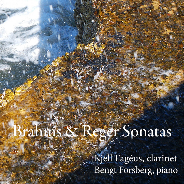 Clarinet Sonata No. 1 in F Minor, Op. 120: I. Allegro appassionato