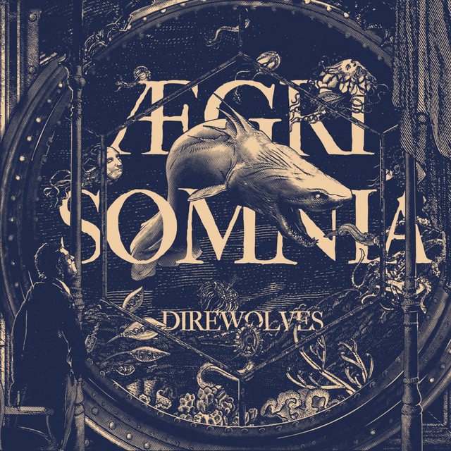Aegri Somnia cover