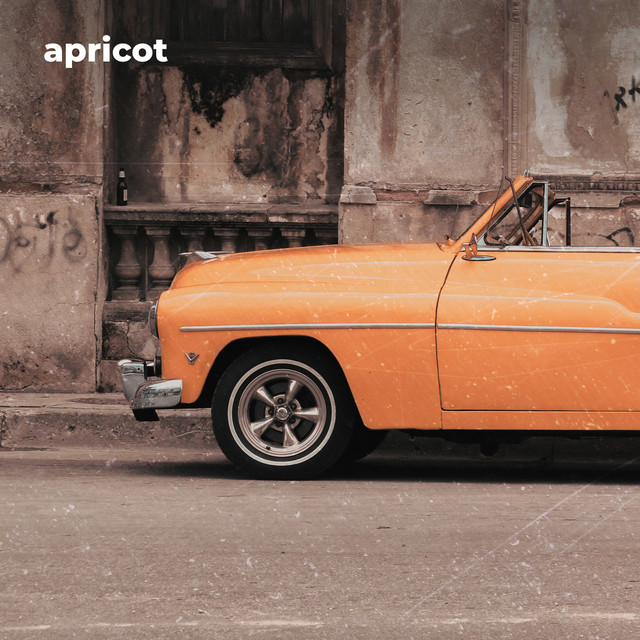 Apricot cover