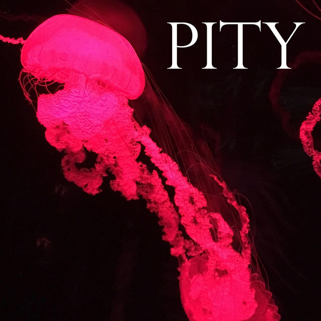 Pity cover