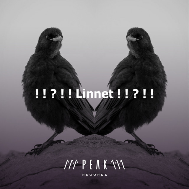 Linnet ! ! ? ! ! - Album by Bird Sounds | Spotify