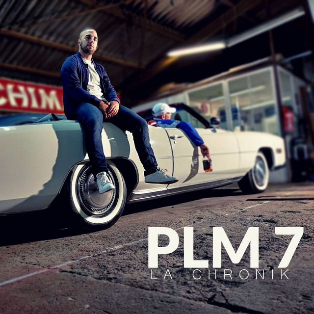 PLM 7